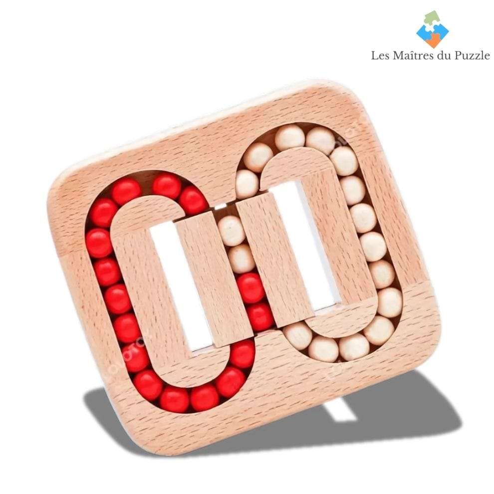  Casse tête - Le Labyrinthe Bicolore