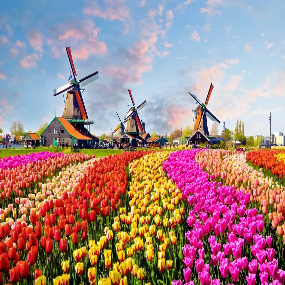 Puzzle - Dutch Windmill - 500 pièces