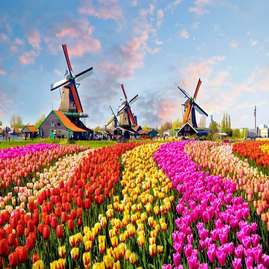 Puzzle - Dutch Windmill - 500 pièces